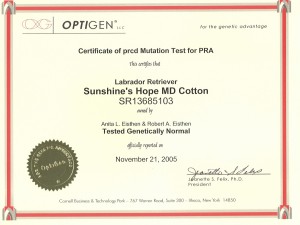 Aspen's Optigen PRA Test Results  