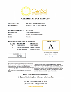 Porsche Curly Coat Certification 
